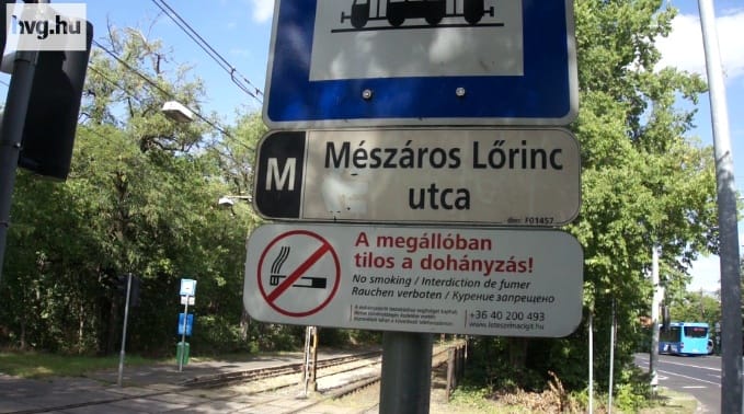 Nem is olyan egyszerű a kiirtandó kiserdő sztorija - videó
