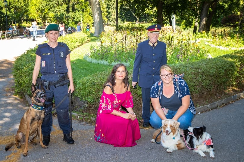  Kutyajogsit is kérhetnek a hatóságok a gazdiktól Bécsben