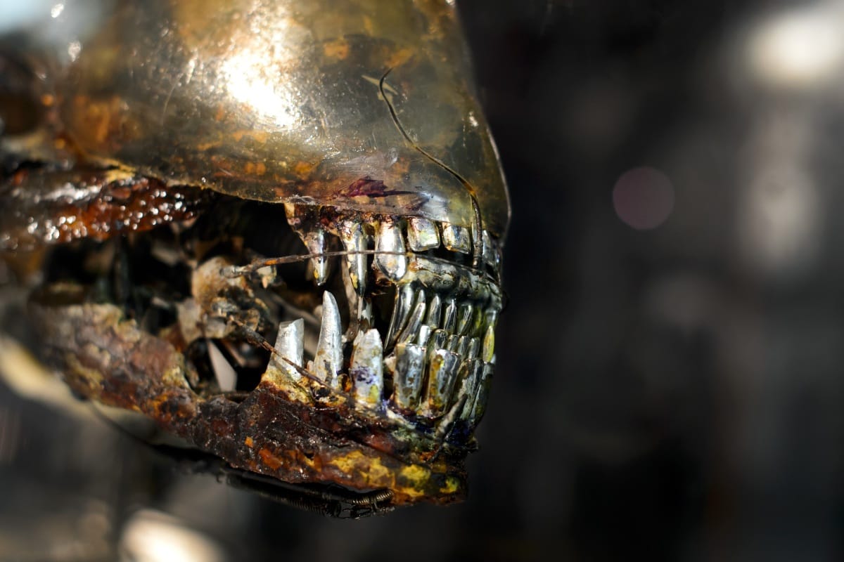 Csütörtökön indul az új Alien-film forgatása Budapesten