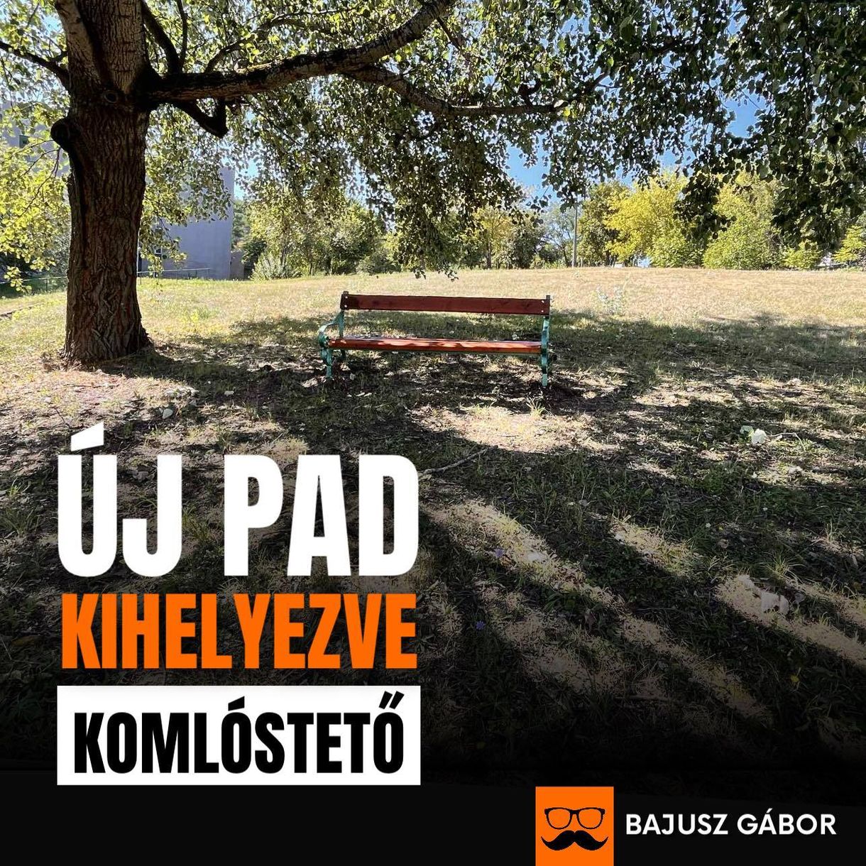 Sikeres miskolci városfejlesztés: padot helyeztek el egy fa alatt