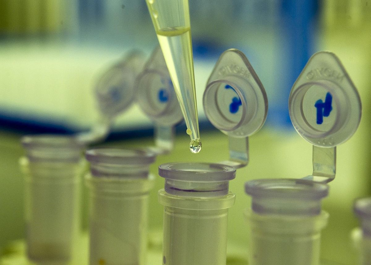 GMO-mentes termékekkel kaszálhatnak a magyar gazdák?