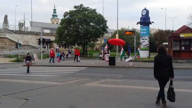 A hét leggroteszkebb videóján rögzítették az MSZP kampánytevékenységét