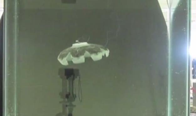 Videó: medúzaként mozog az új hidrogén-meghajtású robot