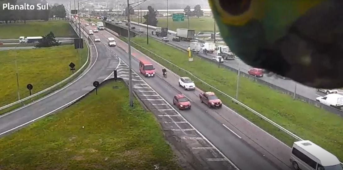 Beköszönt a forgalomfigyelő kamerába a kíváncsi papagáj
