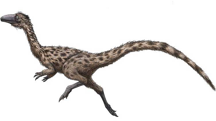 Massachusetts államban törvénybe foglalták, hogy innentől a fürgelábú gyík a hivatalos dinoszauruszuk