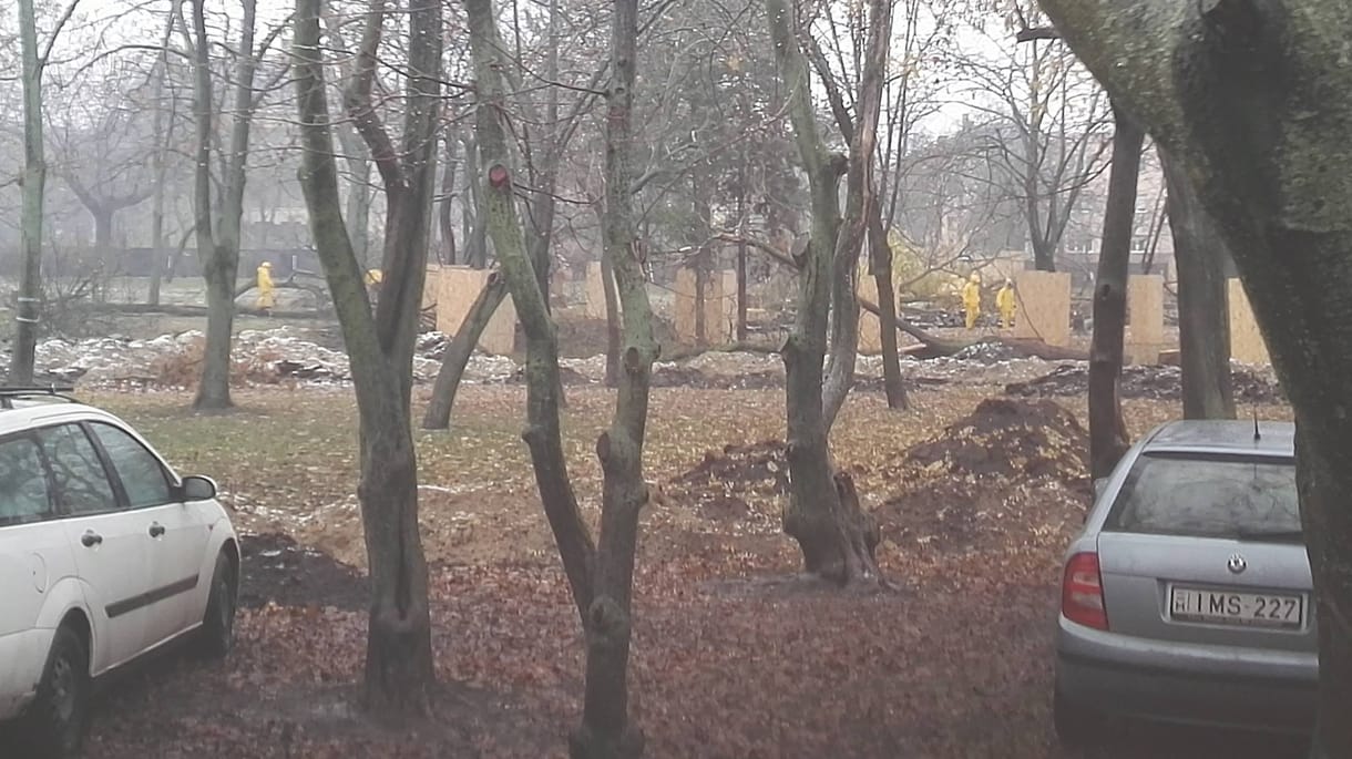 Riadót fújtak a ligetvédők: vágják a fákat a Városligetben