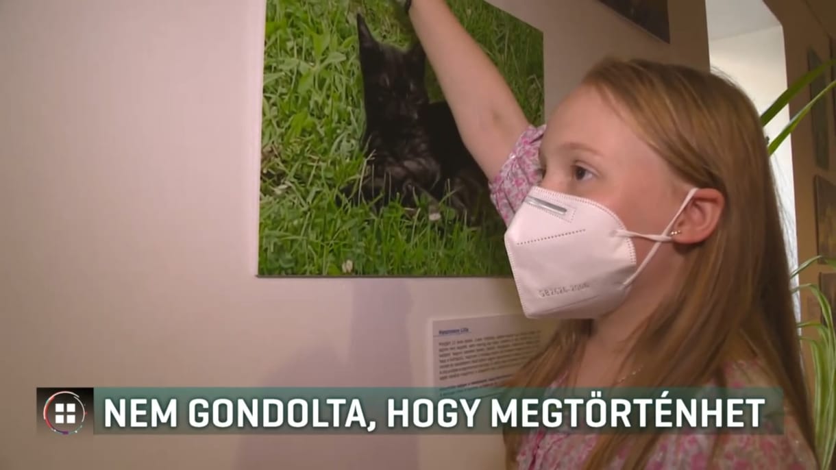 A koronavírus okozta gyulladás miatt szívátültetése volt egy 12 éves magyar gyereknek
