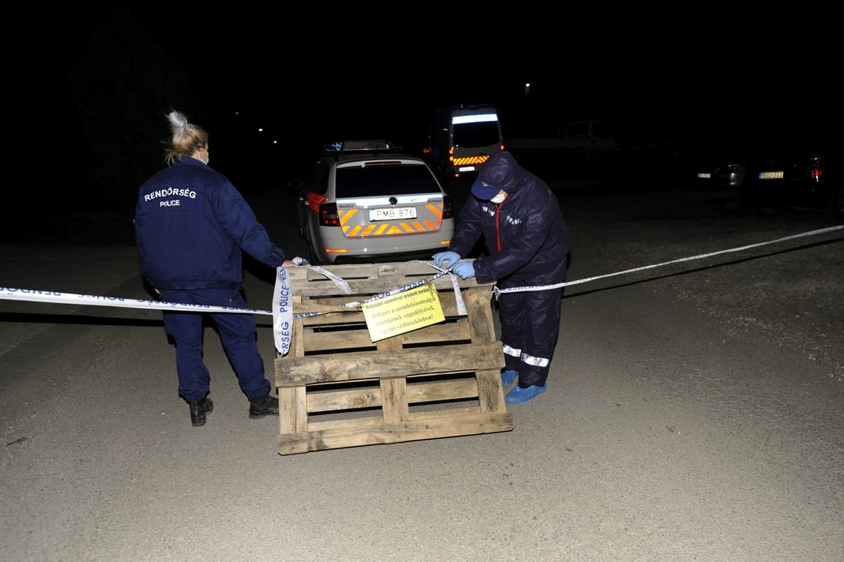 Emberi csontokat találtak egy szentendrei ház udvarán