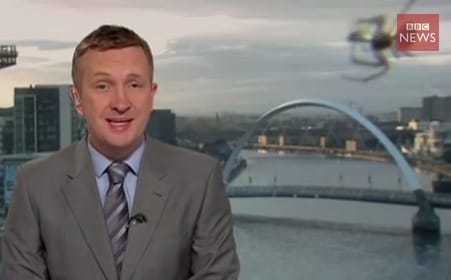 Óriáspók trollkodta szét a BBC híradóját