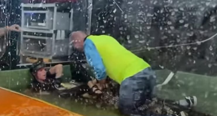 Hős apuka ugrott rá a gondozójára támadó aligátorra – videó