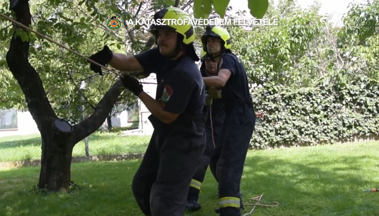 25 méteres kútból mentettek ki egy kiscicát Budafokon – videó