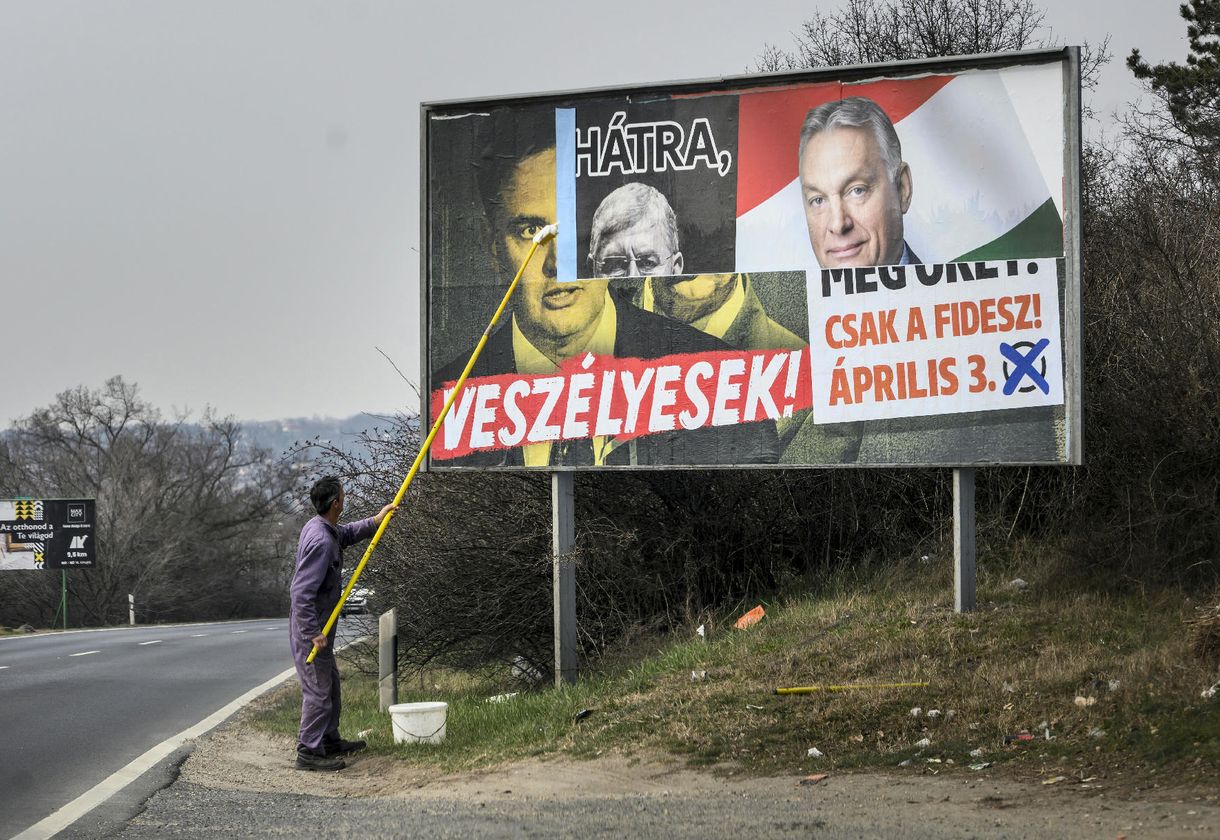 Tóta W.: Keresett a Feri