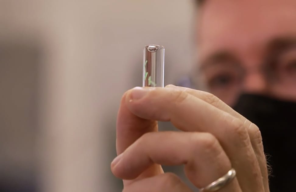 A bőr alá ültetett chip felismeri a koronavírust, egy katonai szűrő pedig eltávolítja