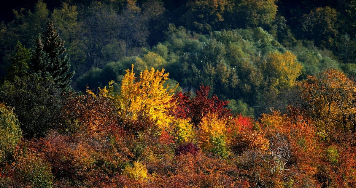 Kitart még a kellemes őszi idő