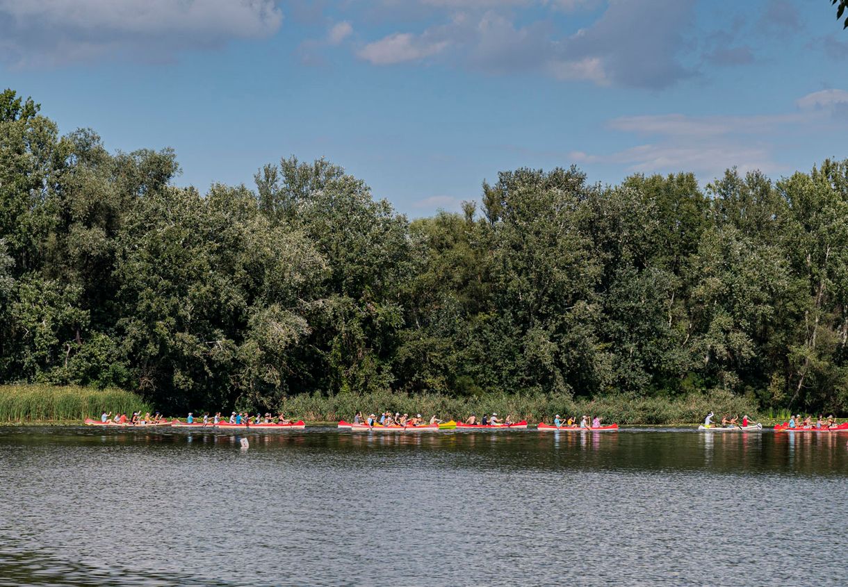 56 ezer kiló idegenhonos halat emeltek ki a Tisza-tóból