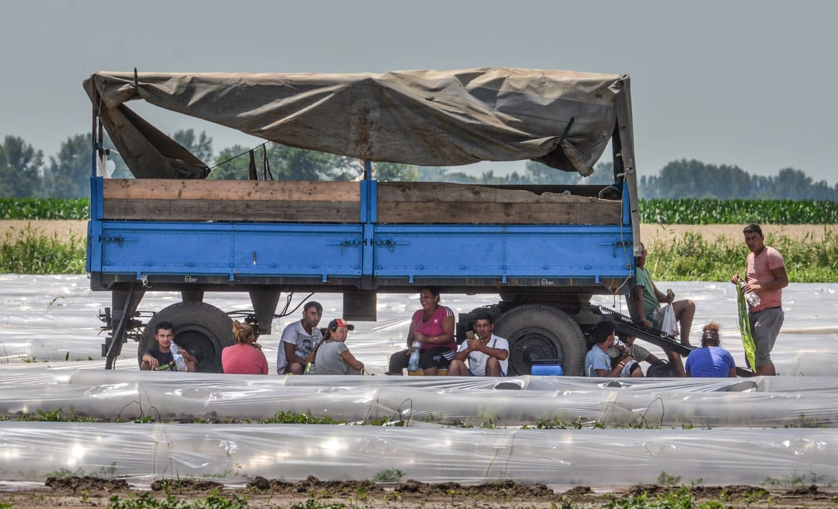 Jobban sújtja a bevándorlók munkahelyeit a koronavírus,  Magyarország viszont a kivételek között