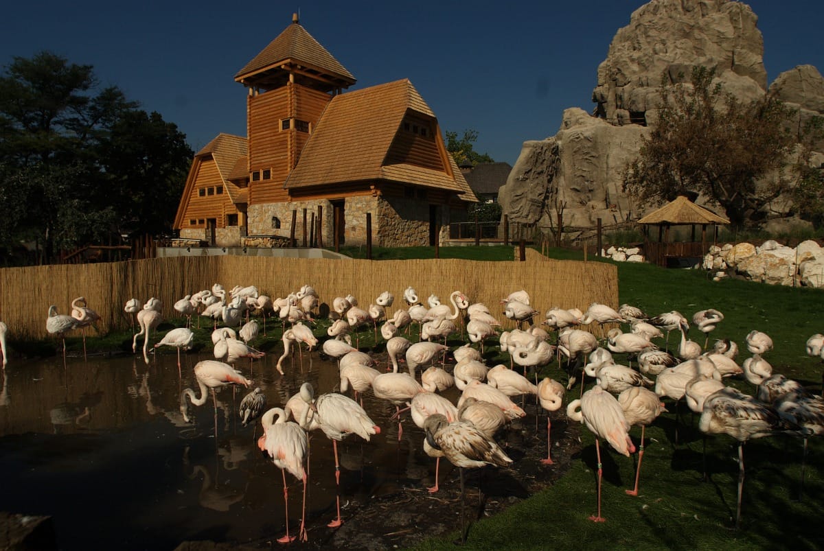 A fővárosi állatkert és vidámpark