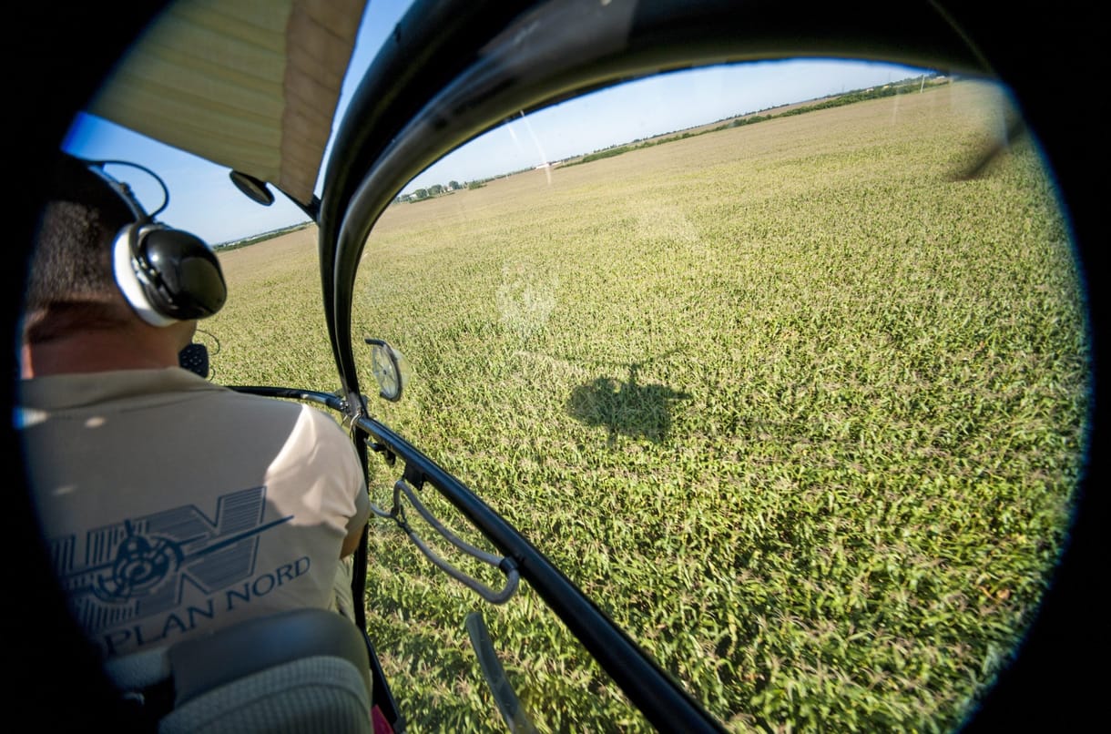 Helikopterről minden rendben, lent kétmillióan szenvednek a parlagfűtől