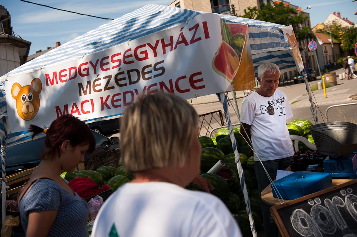 Dinnyekartell: Budaiék szervezkedtek, de a versenyhivatal tehetetlen