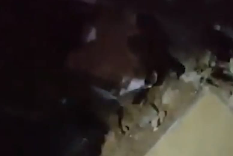 24 órával a robbanás után élve húztak ki egy kislányt a romok alól Bejrútban 