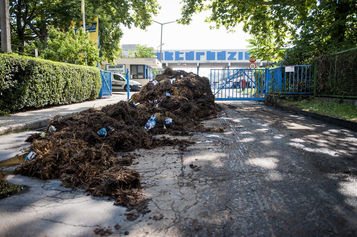 Trágyaborítás kellett, hogy beinduljon az áfacsalás elleni harc?