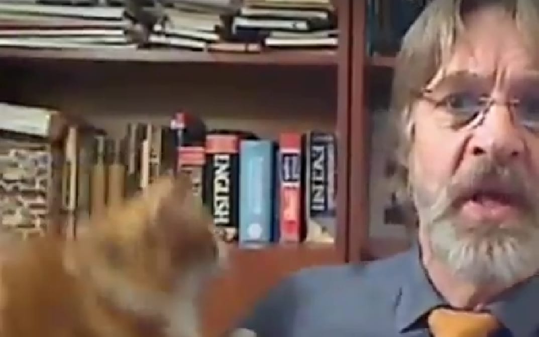 Ezúttal egy macska trollkodott bele az élő bejelentkezésbe - videó