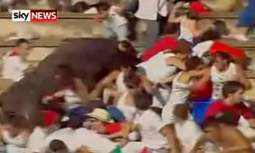 Bika ugrott a nézőtérre - videó