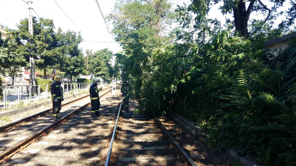 Fotó: Fa dőlt a 28-as és 62-es villamos sínére