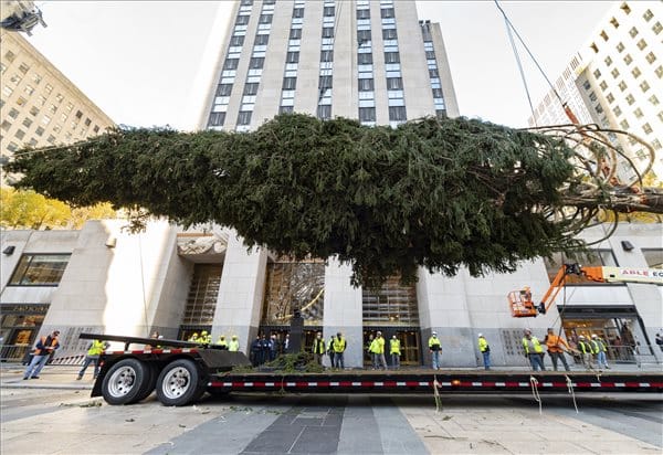 Megérkezett a Rockefeller Center elé a 12 tonnás fenyőfa - képek