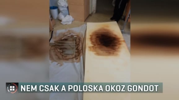 Nemcsak poloskáktól szenvedhetnek a XVIII. kerületi gondozó lakói