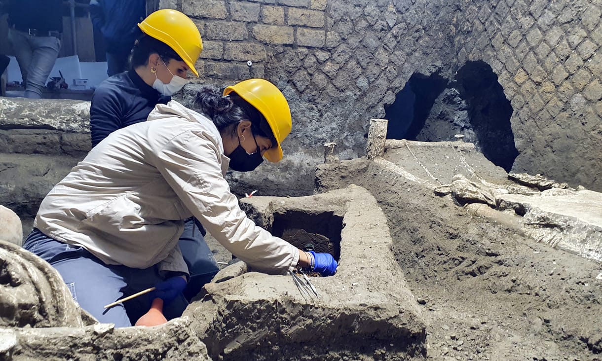 Teknősbéka maradványára bukkantak Pompejiben, egy tojás is volt már benne