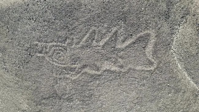 Egy csapásra találtak 303 új, rejtélyes Nazca-vonalat, itt megnézheti őket: földönkívüli lény, késsel hadonászó gyilkos bálna is van köztük