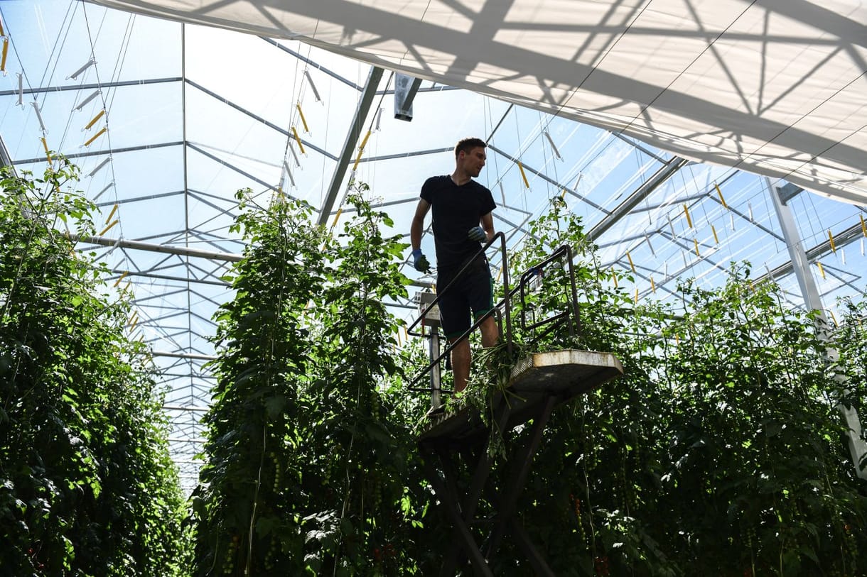 Kiküldené a földekre a fiatalokat az új agrárminiszter