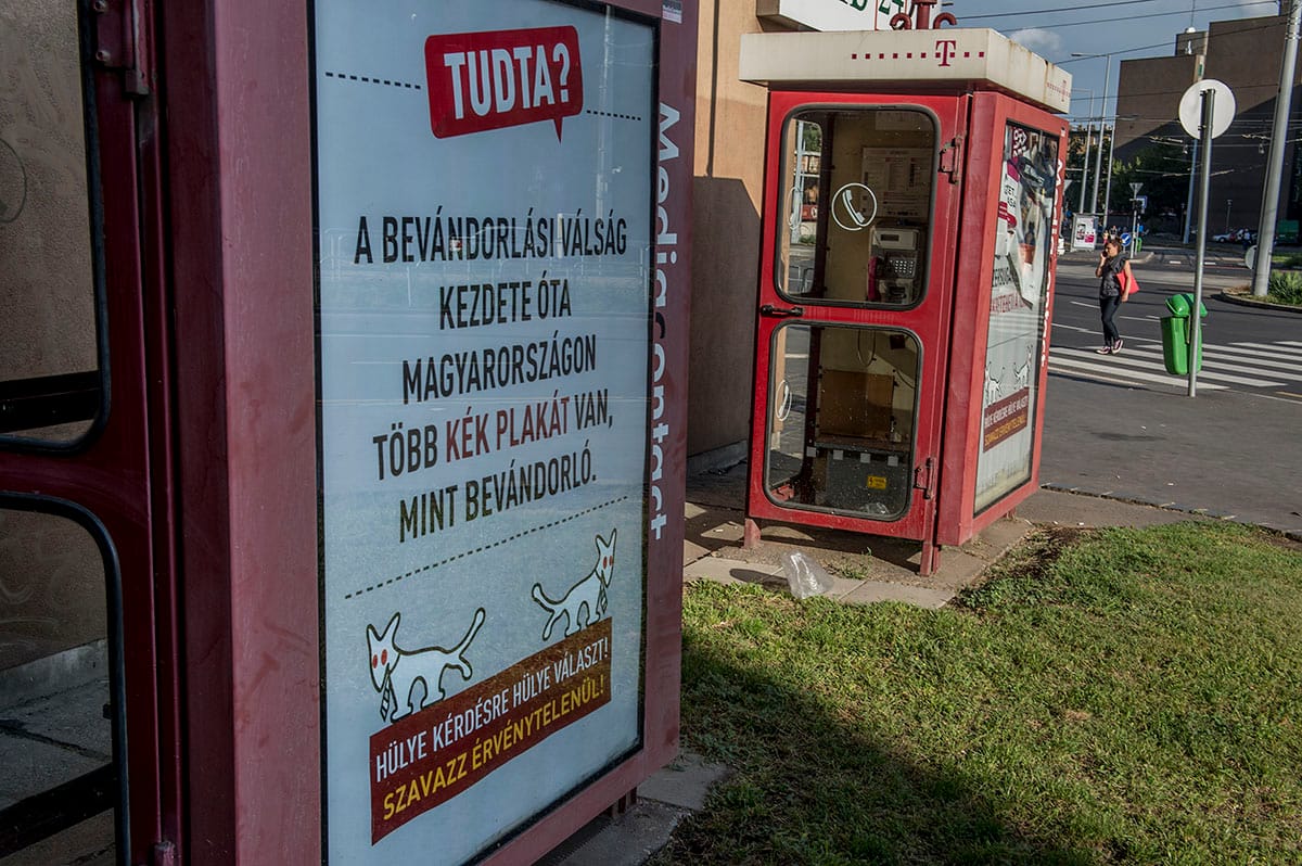 Gyorsmérleget vont a Kétfarkú a kvótanépszavazás után