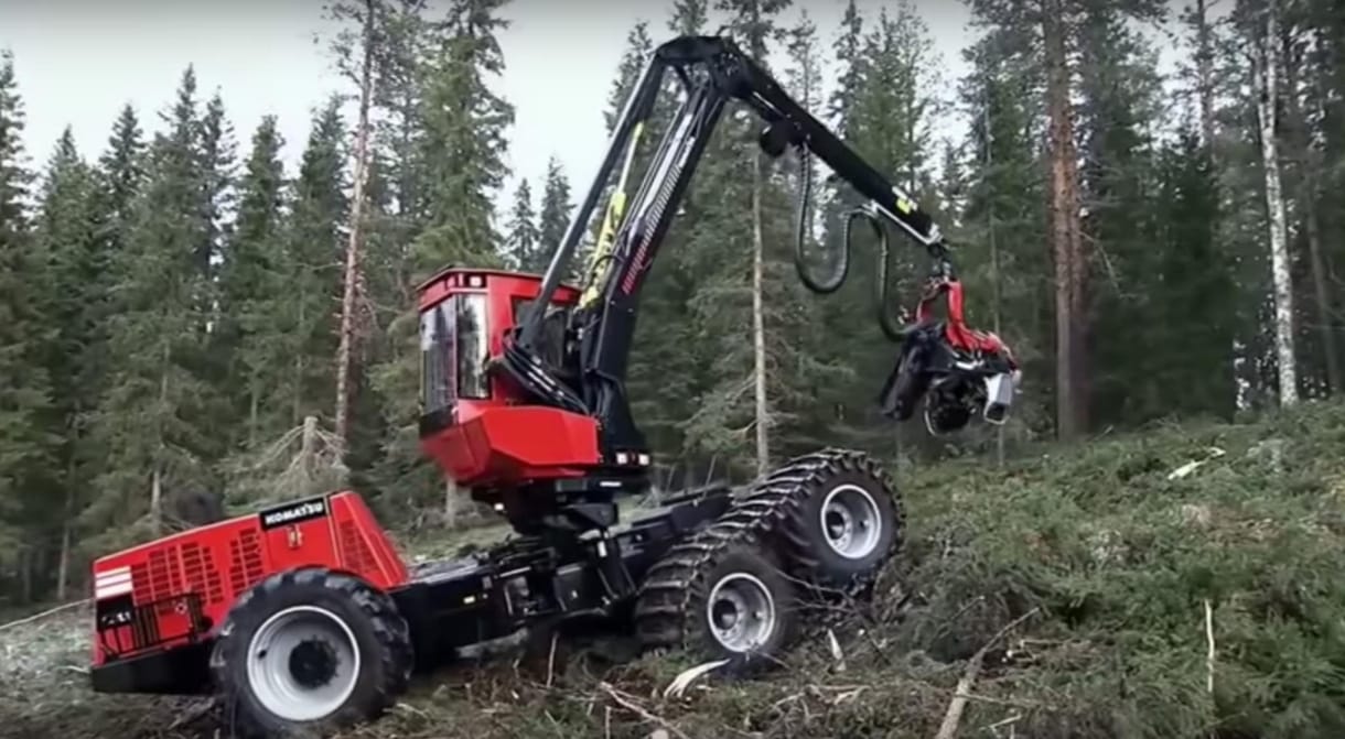 Perverz érzés bámulni a világ legfélelmetesebb erdőirtó munkagépeit – videó