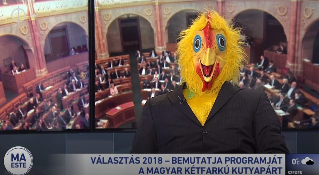 Ilyet a magyar királyi tévében még nem látott: programot hirdet a Kutyapárt (videó)