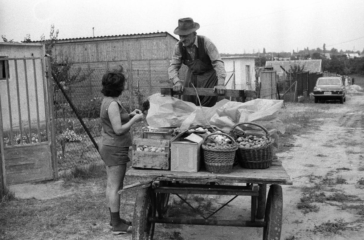 Perifériára szorultak, de névtelenül minden elmesélnek magukról a zártkertek lakói 