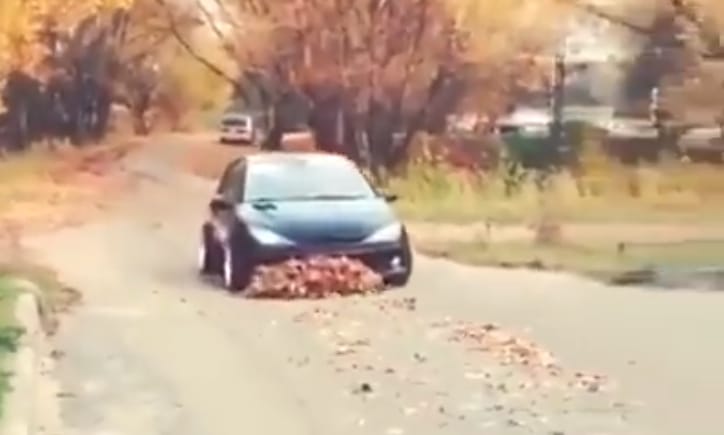 Videó: a sofőr, akit nem zavar az avar, és autójával takarítja el ezt
