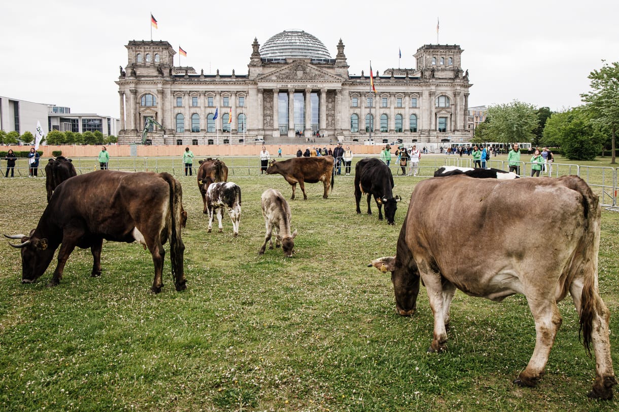Zöldítené a mezőgazdaságát Európa – ez azonban az agrárlobbinak tetszik a legkevésbé