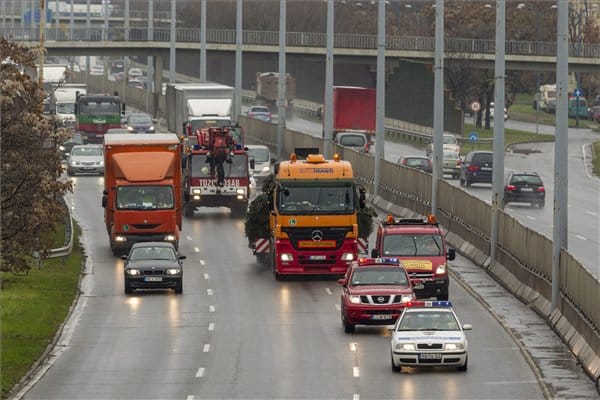 Így tették helyére a Kossuth téri karácsonyfát – fotók