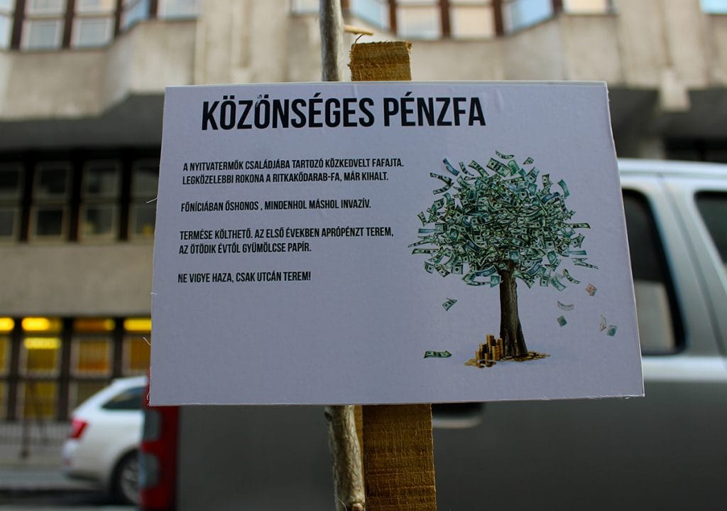 Pénzfát ültetett a Kétfarkú