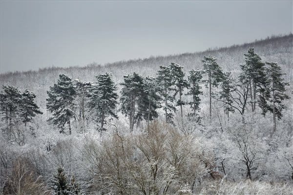 Ma is folytatódhat a havazás