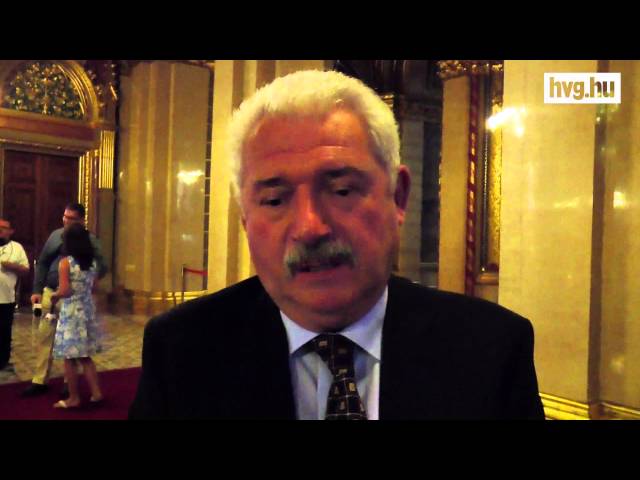 Videó: Fogalmuk sincs a képviselőknek, kikre írták a törvényt
