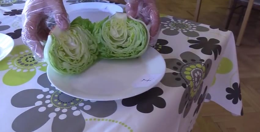 Salátákat tesztelt a Nébih - íme a legfinomabbak toplistája