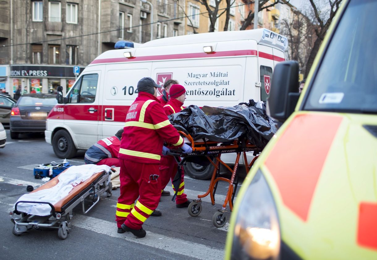 Felmentette a Kúria az OSZK volt főigazgatóját, aki elütött öt éve egy táskatolvajt