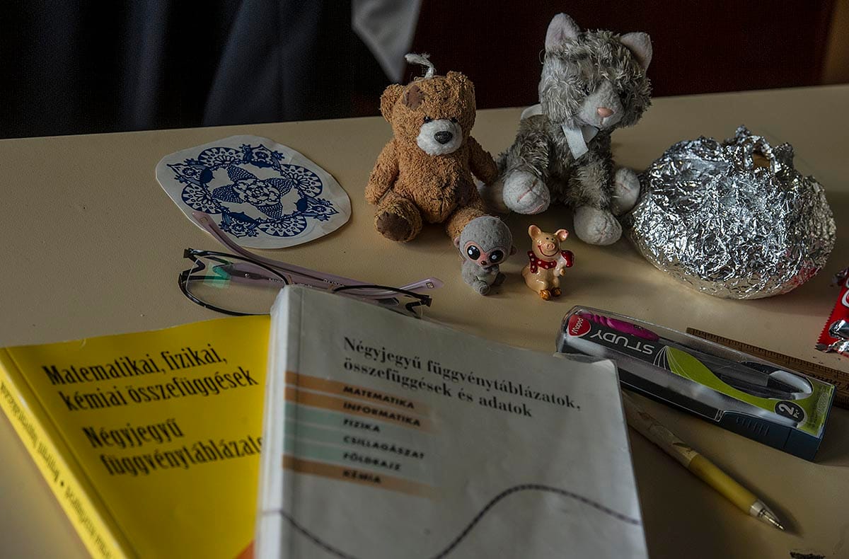 Okosabb, mint egy negyedikes? A bergengóc példa