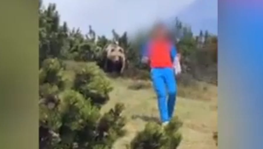 Szürreális medvejelenetet videóztak le Olaszországban