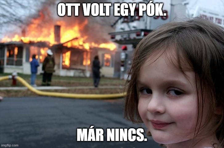 Egy csapásra gazdaggá vált a lány, aki eladta a róla készült világhírű mémet