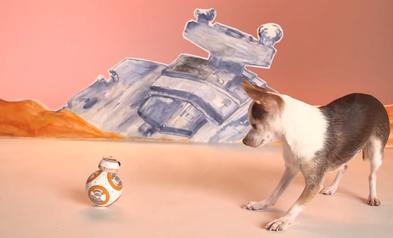 Videó: Kiskutyák kergetik meg a Star Wars 7 robotját