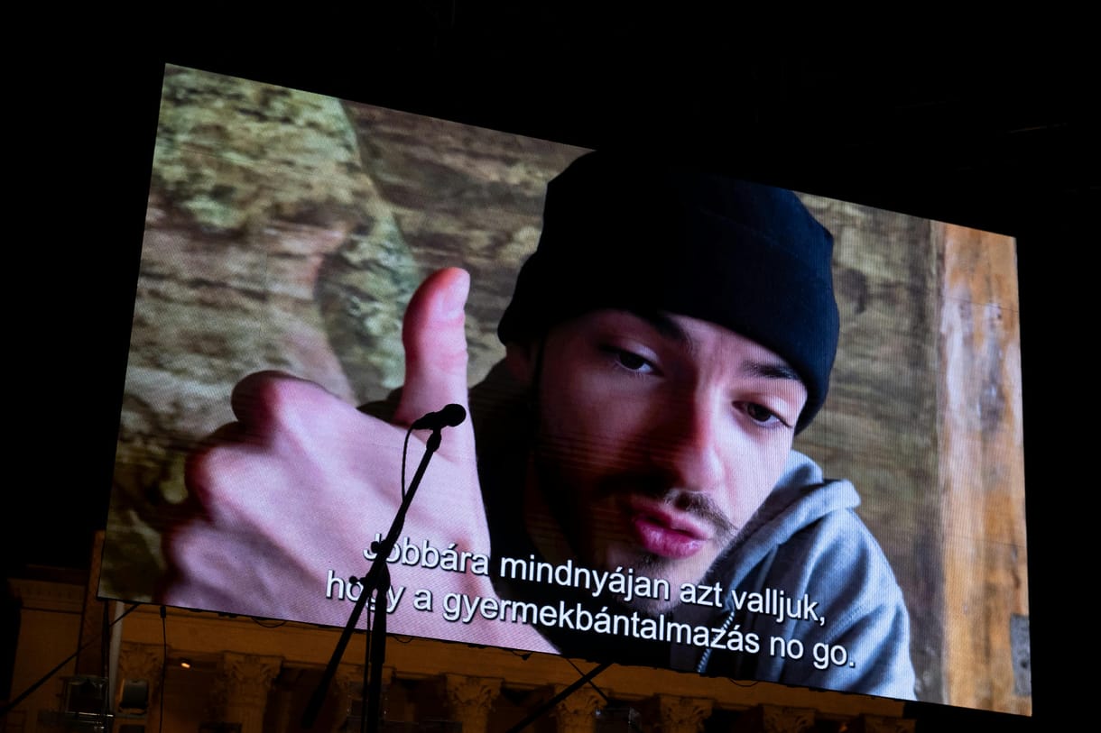 Papp Réka Kinga: Lájkpolitika